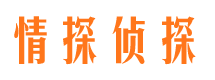 河津市场调查